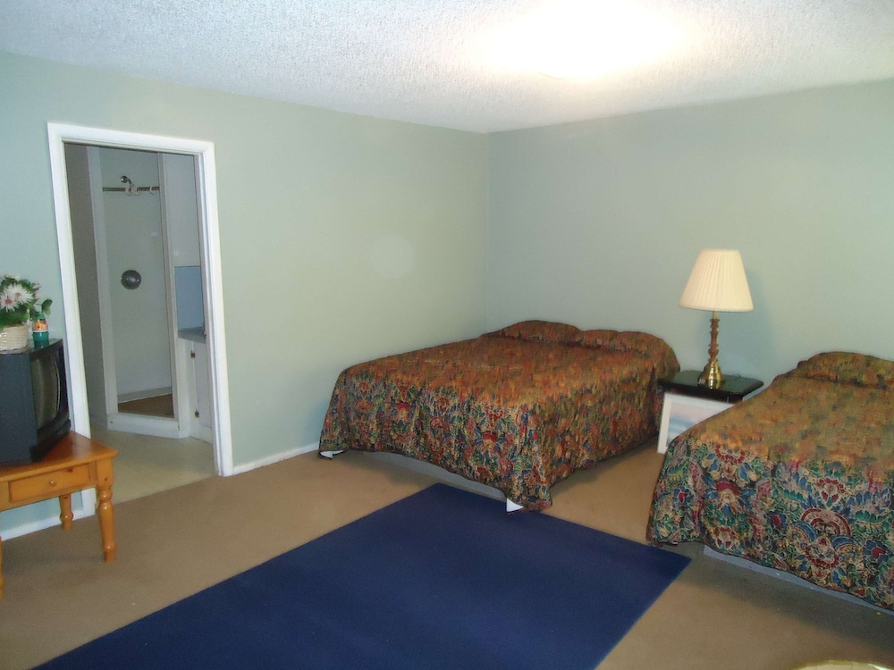 Blue Mountain Motel - photo 5