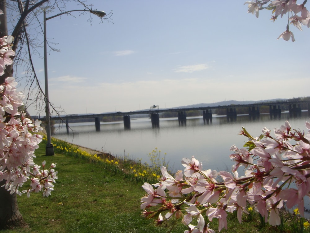 Hotel Hanna - photo 36