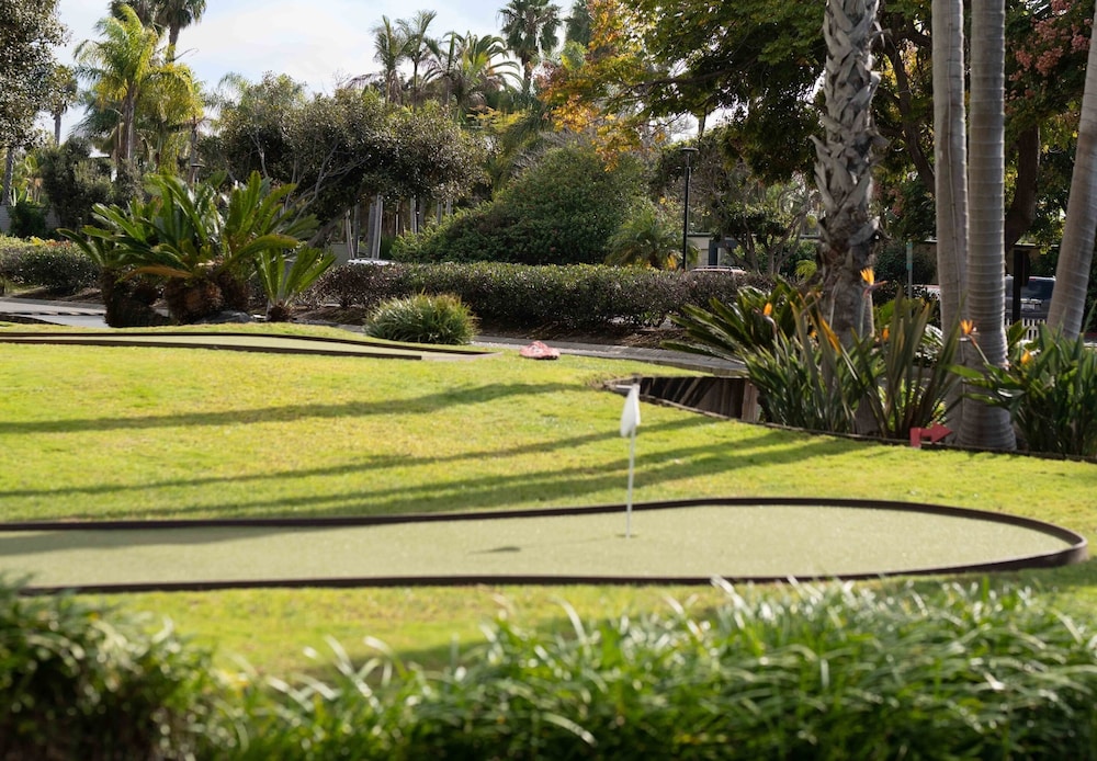 Paradise Point Resort & Spa - photo 10