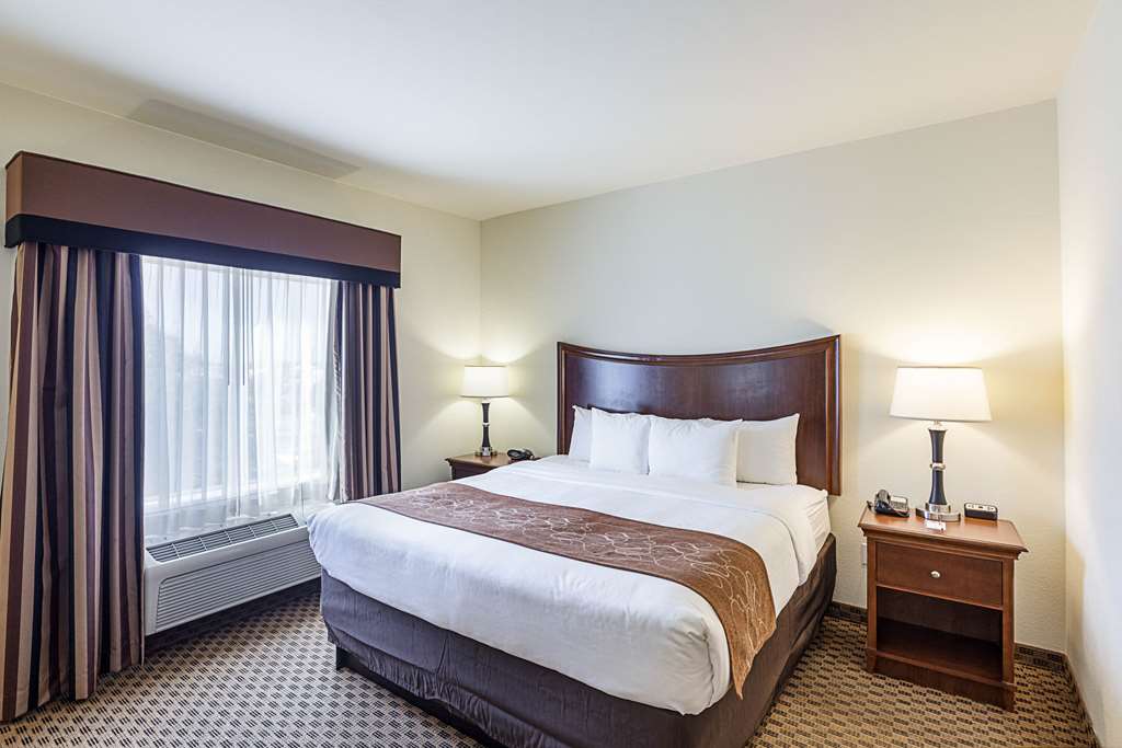 Comfort Suites Stone Oak - photo 12