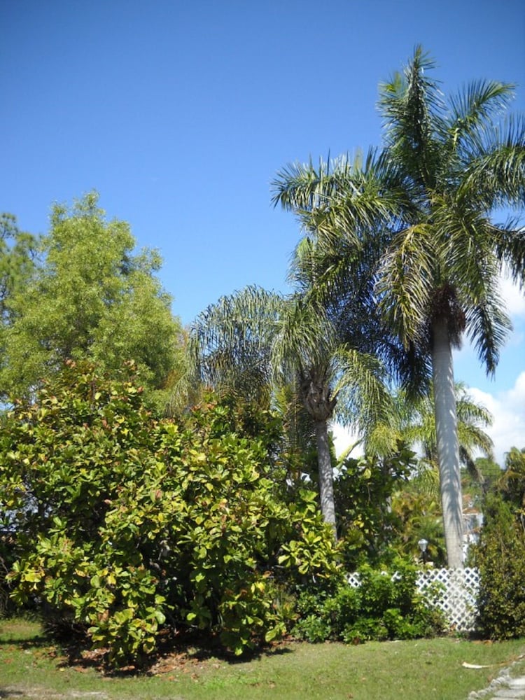 Conty's Motel - photo 48