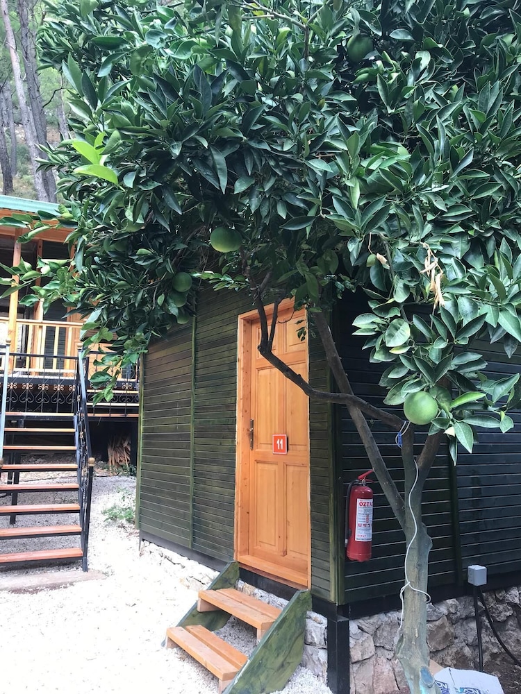 Olympos Tatilya Pansiyon in Kumluca, Turkey