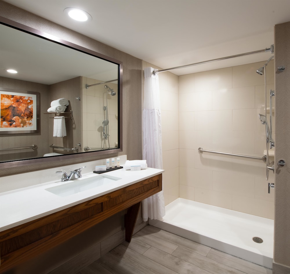 Embassy Suites by Hilton Colorado Springs - photo 45