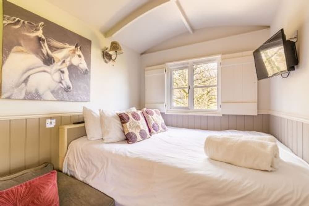 Host Stay Whoa Stop in Thetford, United Kingdom