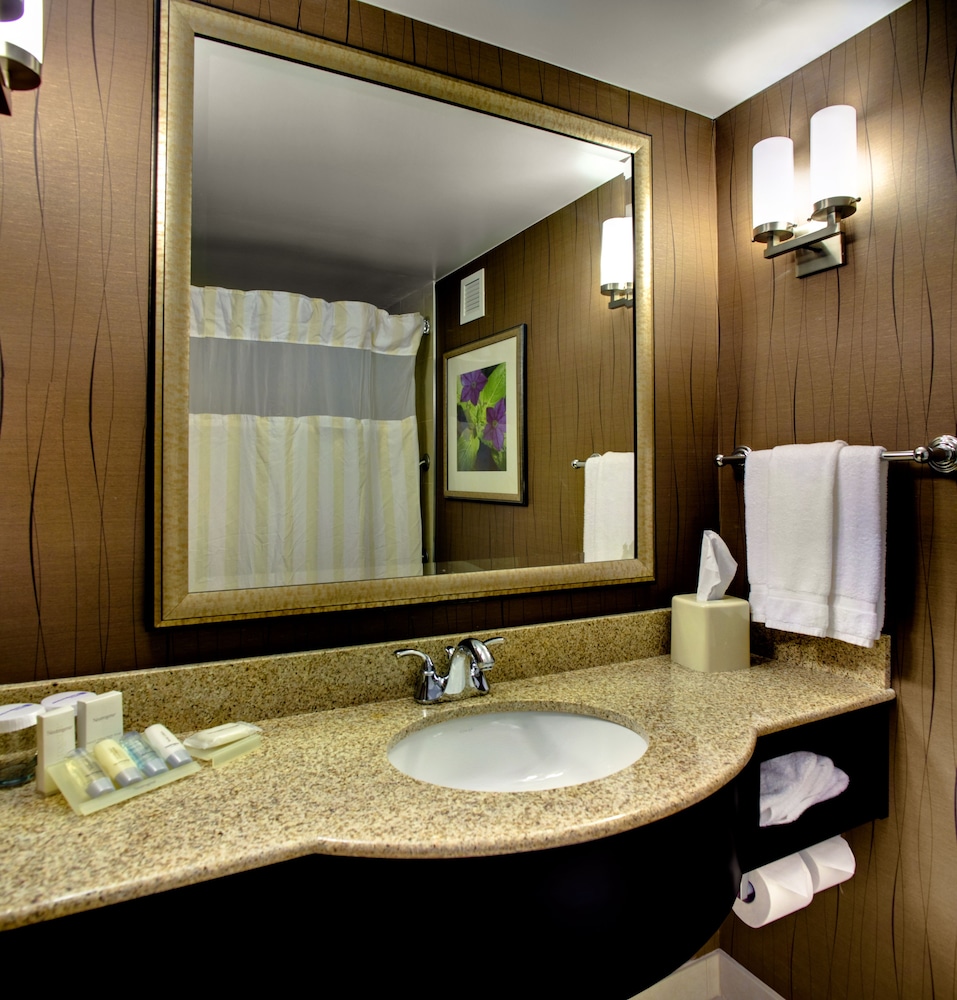 Hilton Garden Inn Raleigh Durham Airport - photo 14
