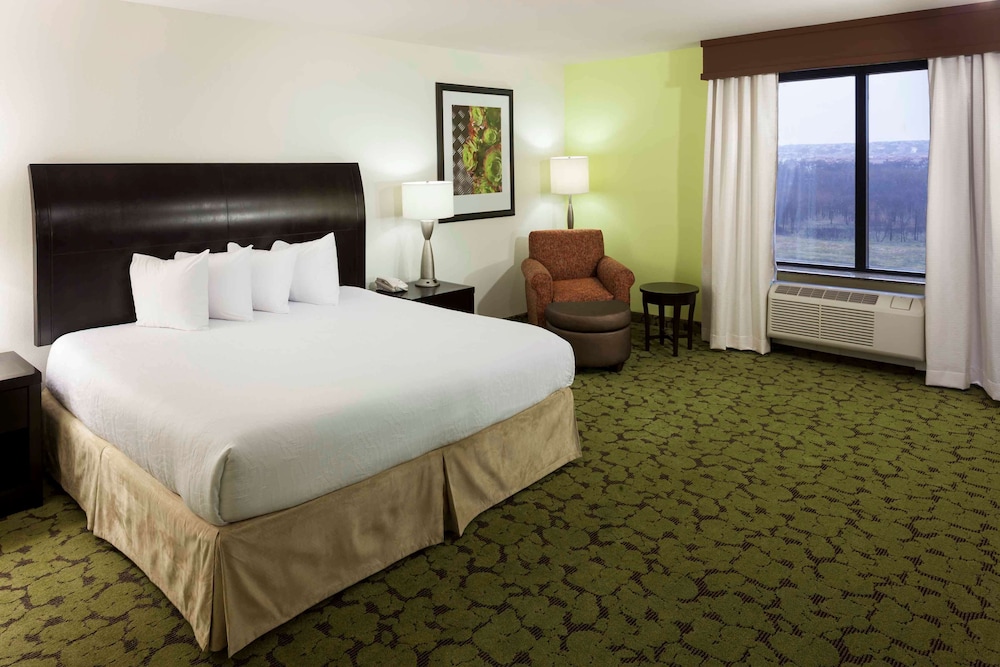 Hilton Garden Inn Dallas Lewisville - photo 10