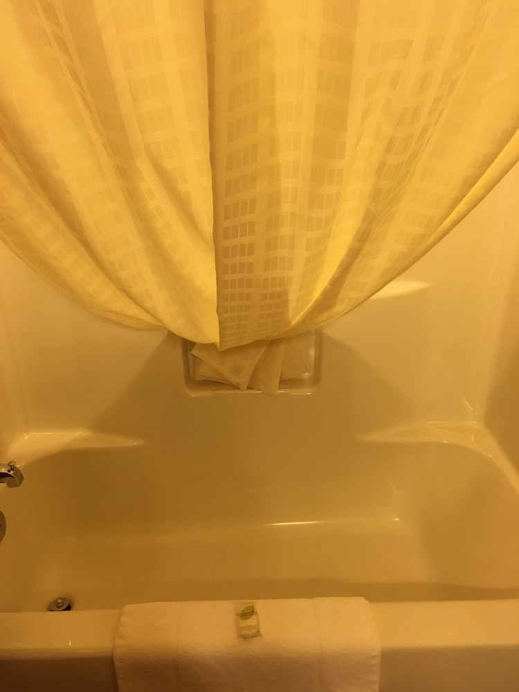 Cobblestone Inn & Suites Steele - photo 20