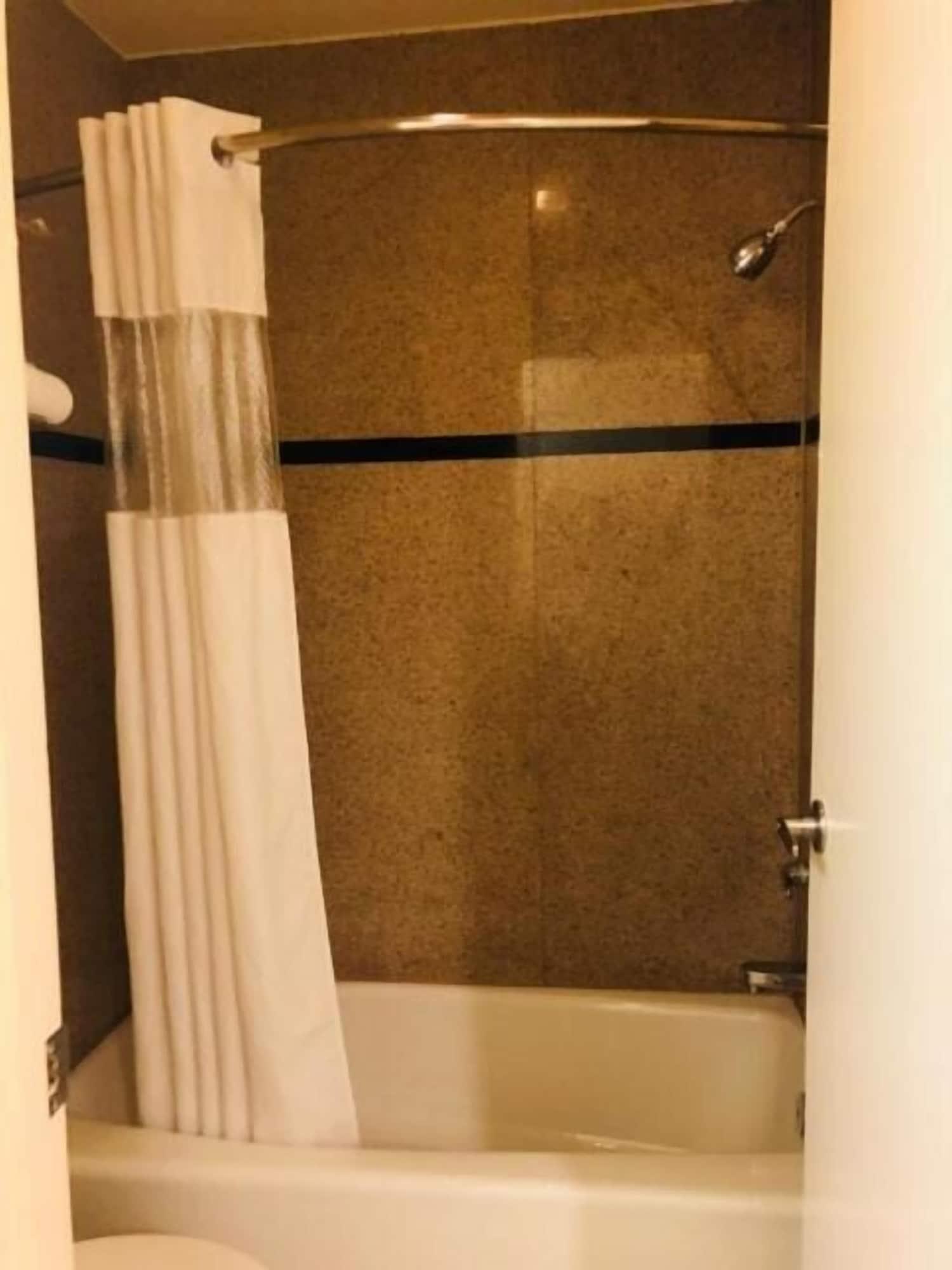 Bayshore Inn - photo 19