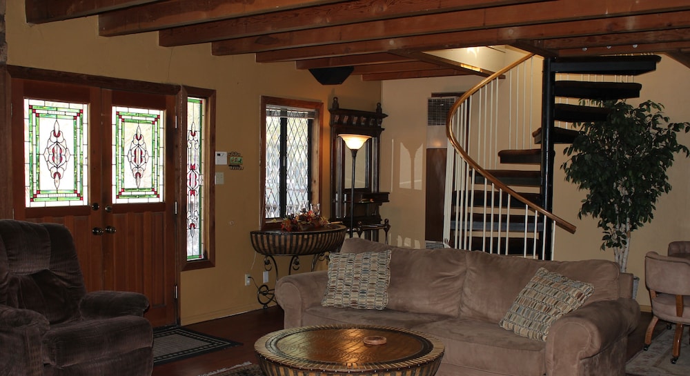 Viola Haven - featured photo
