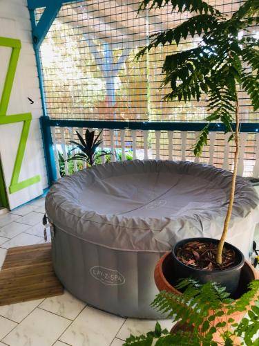 Rêves de mer in Unknown City, Guadeloupe