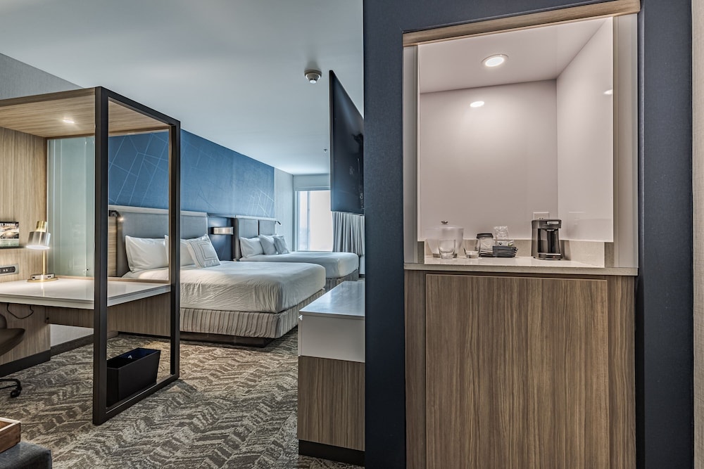 SpringHill Suites by Marriott Detroit Sterling Heights - photo 7