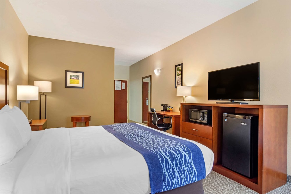 Comfort Inn Douglasville Atlanta West - photo 6