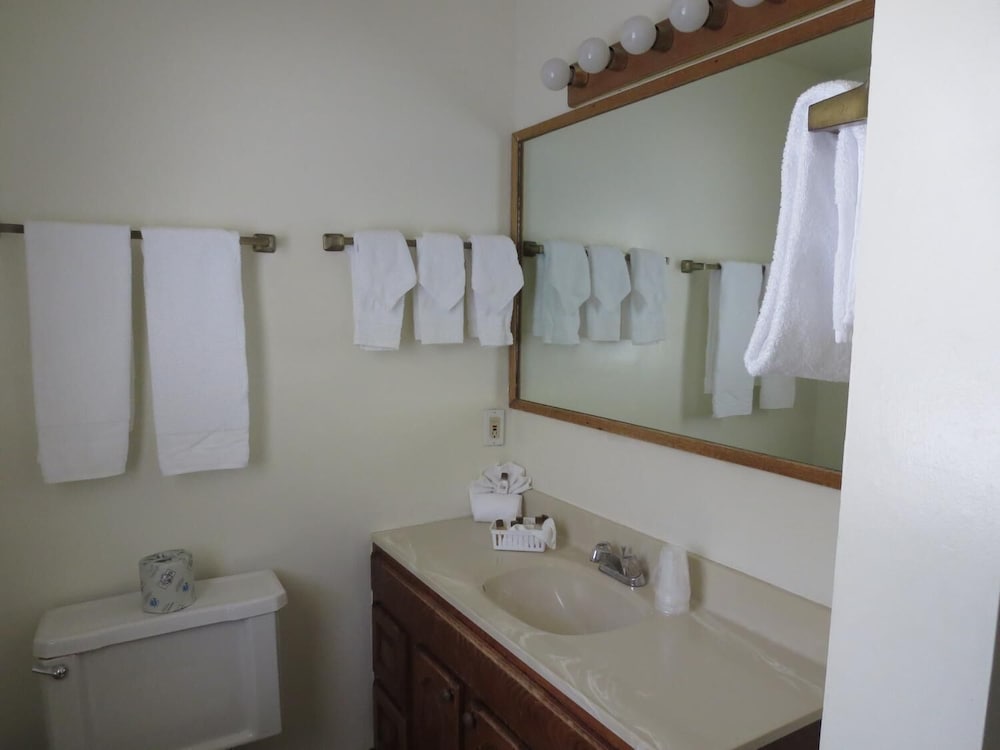 Bridge Bay Lodge at Shasta Lake - photo 28