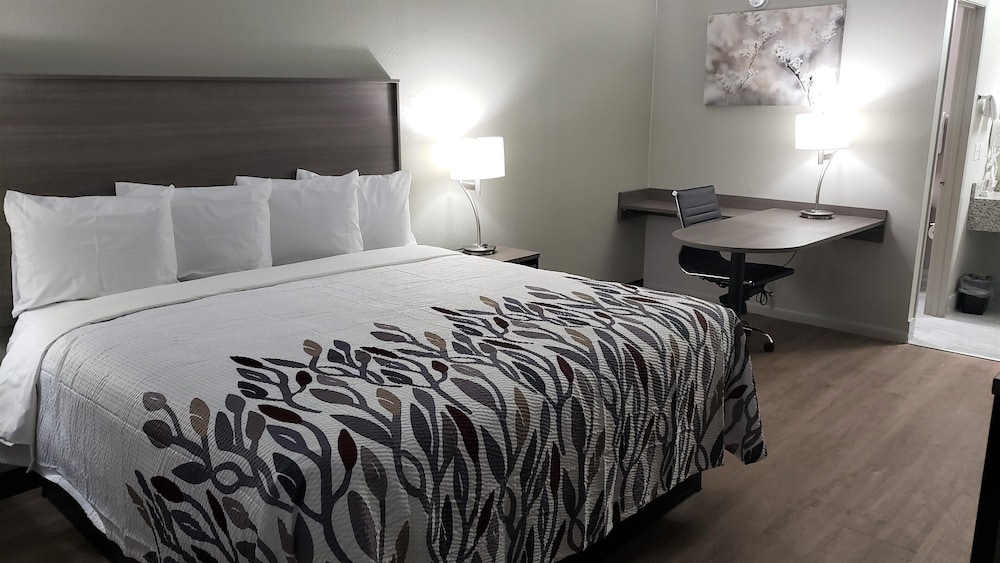 Red Roof Inn Cullman - photo 6