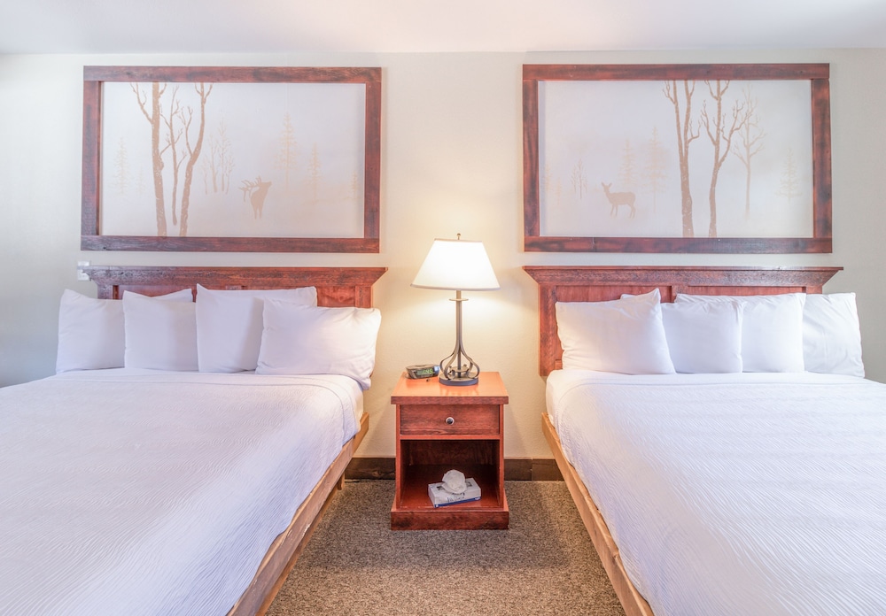 Murphy's River Lodge - photo 20