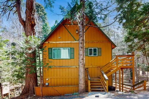 Babbling Brook in Lake Arrowhead, United States