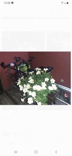 Vuceljic rooms — Andrijevica — photo 2