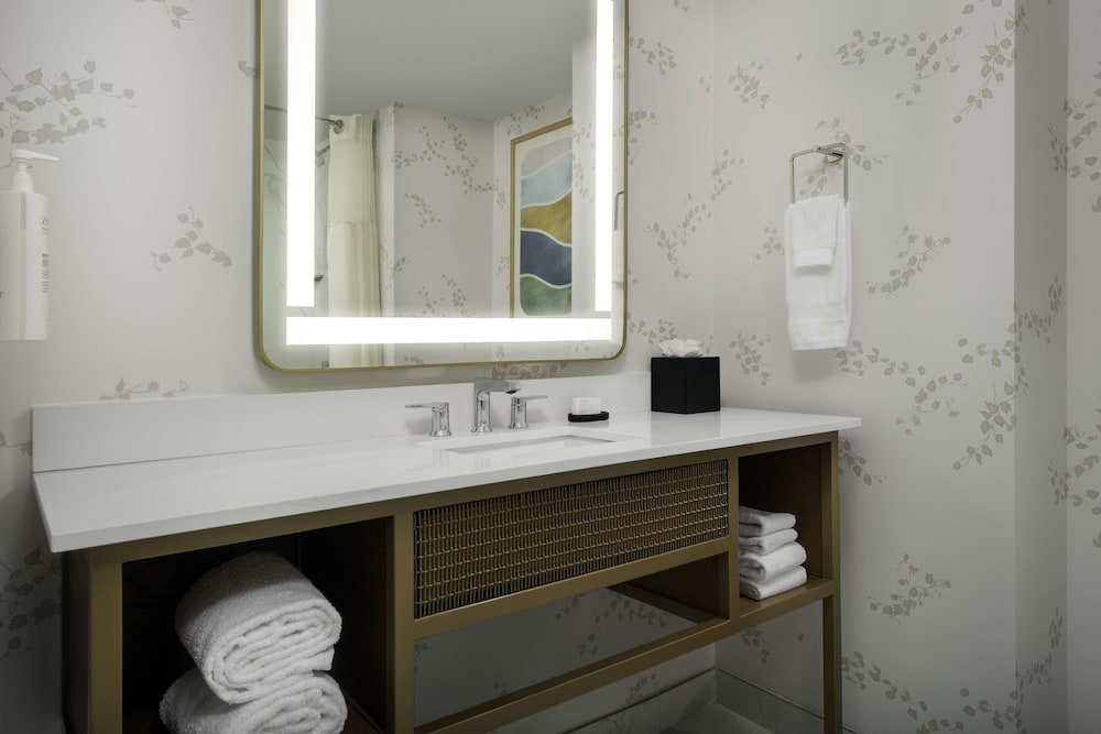 Embassy Suites by Hilton Dulles North Loudoun - photo 20