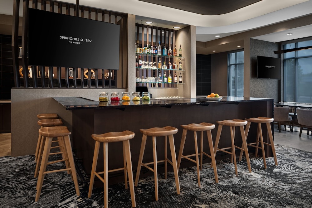 SpringHill Suites by Marriott Kalamazoo Portage - photo 51