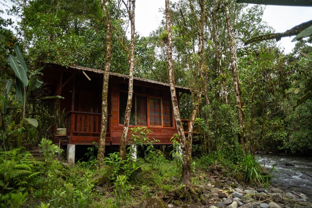 River Song S Hotel — Unknown City