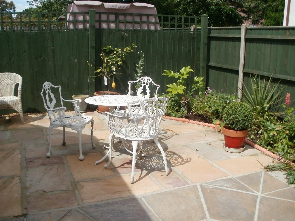 Holm Oaks in Holt, United Kingdom