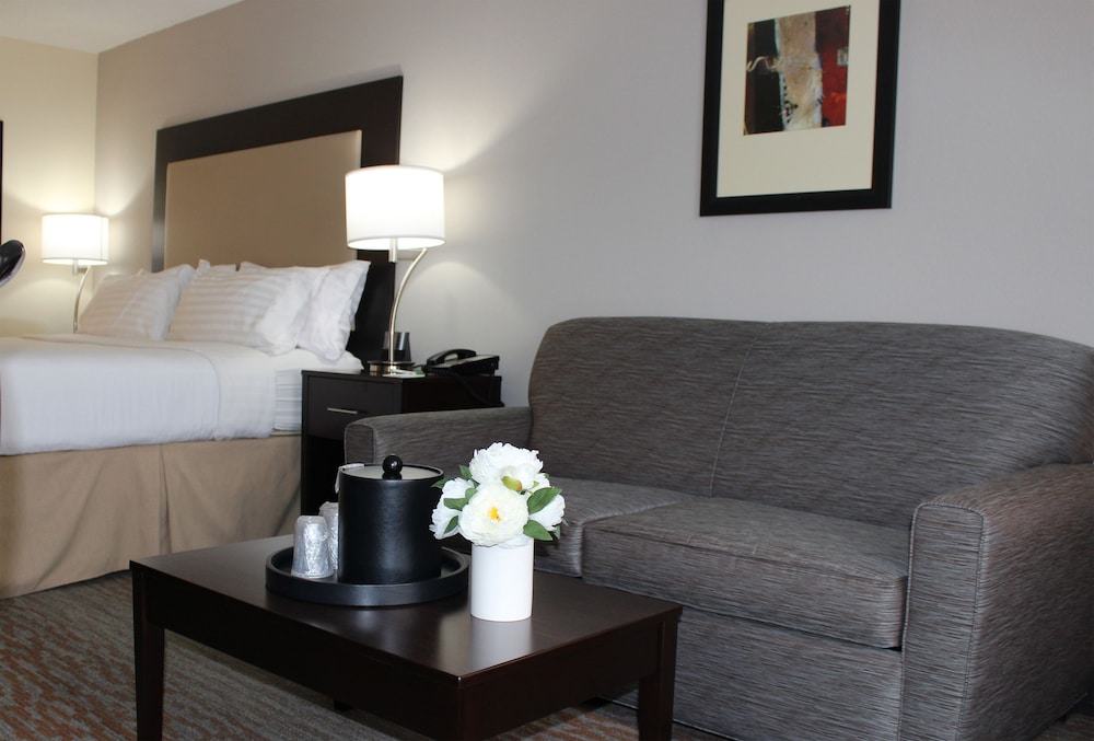 Holiday Inn Atlanta Northlake by IHG - photo 7