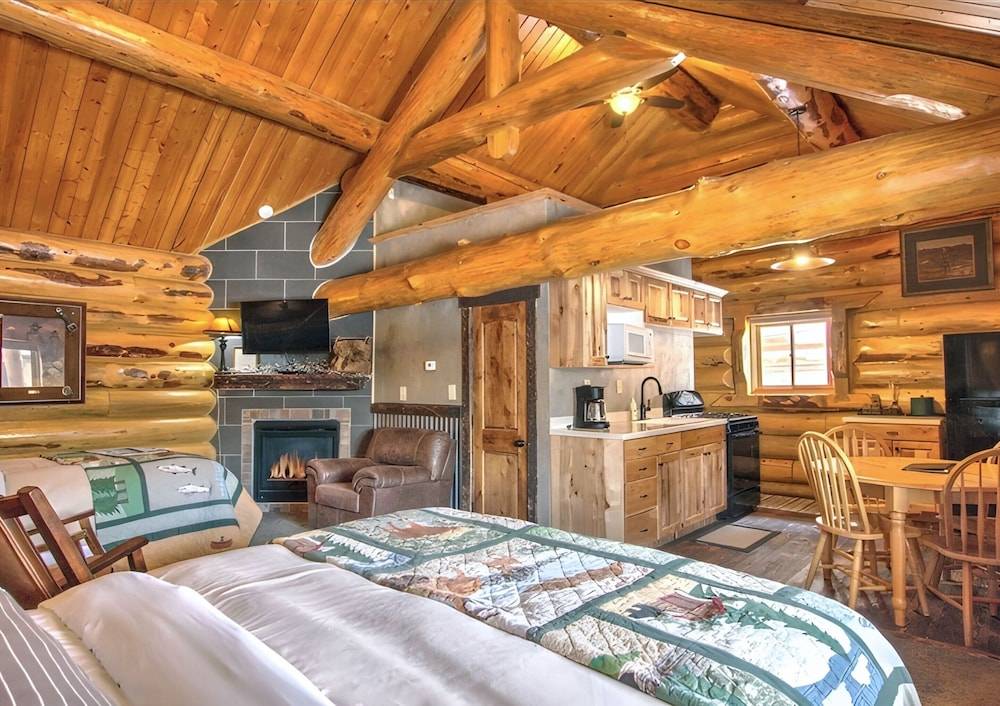 The Hibernation Station - featured photo