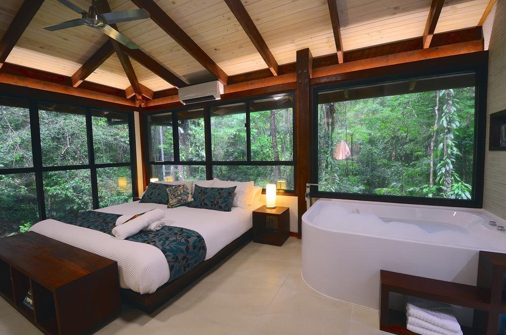 Black Palm Cape Tribulation — Port Douglas
