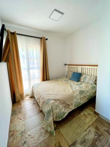 Cosy new studio in Costa Adeje — Adeje — photo 2