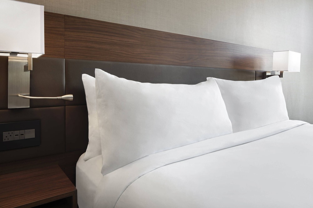 AC Hotel Charlotte Ballantyne - photo 21