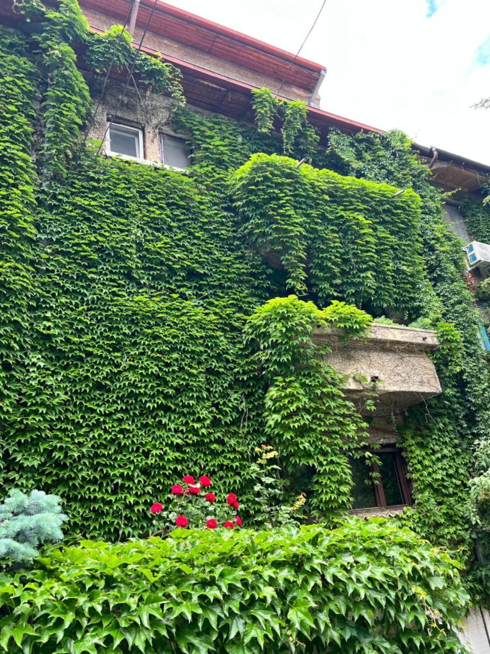 Studio Villa Floreasca — 4-Star Luxury Hotel in Bucharest, Romania