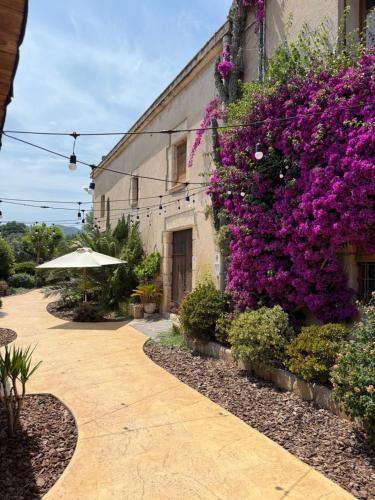 Can Masferrer — 4-Star Luxury Hotel in Riudarenes, Spain