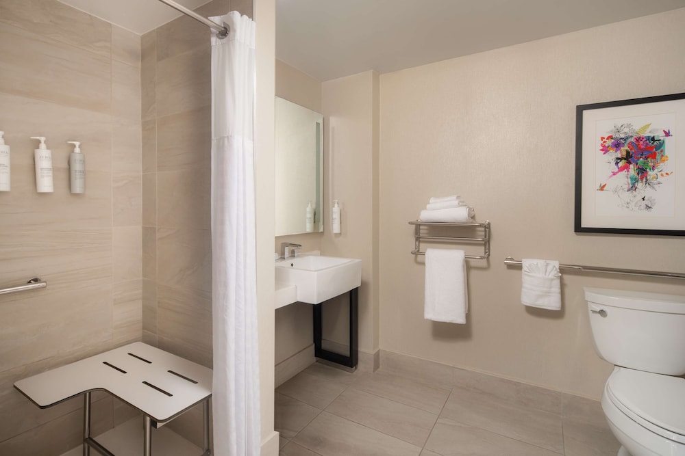 Embassy Suites by Hilton New York Manhattan Times Square - photo 62