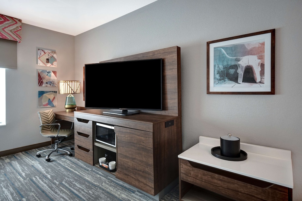 Hampton Inn Tucson Downtown - photo 17