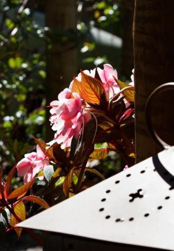 Terra Verde Visconde de Mauá in Itatiaia, Brasil