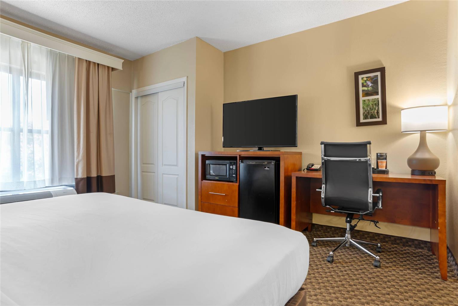 Comfort Suites Tallahassee Capitol University Area - photo 12