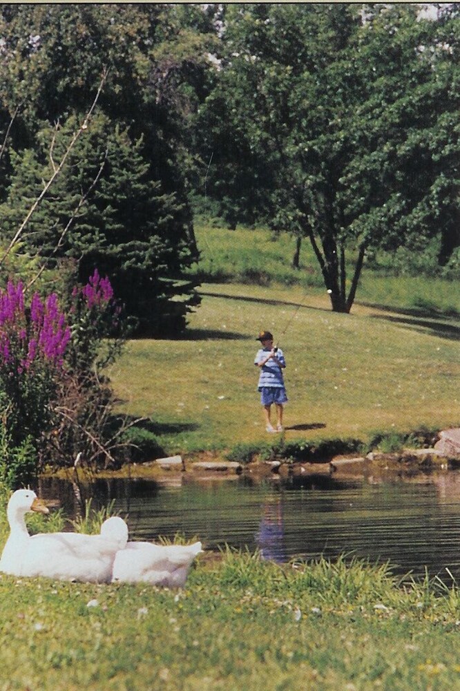 Pollaces Family Resort - photo 18