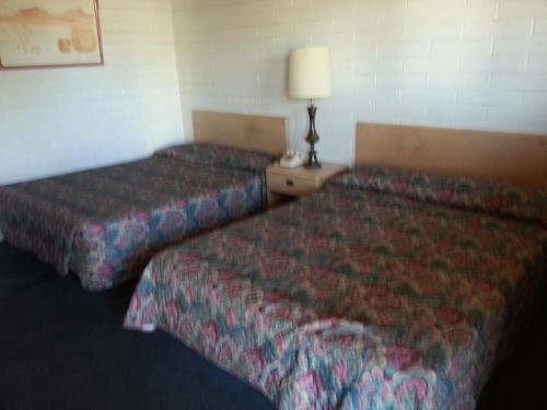 D M Motel - carbon neutral hotel in Tucson
