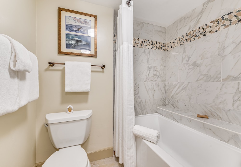 Mahana Resort #706 1 Br Condo - photo 30