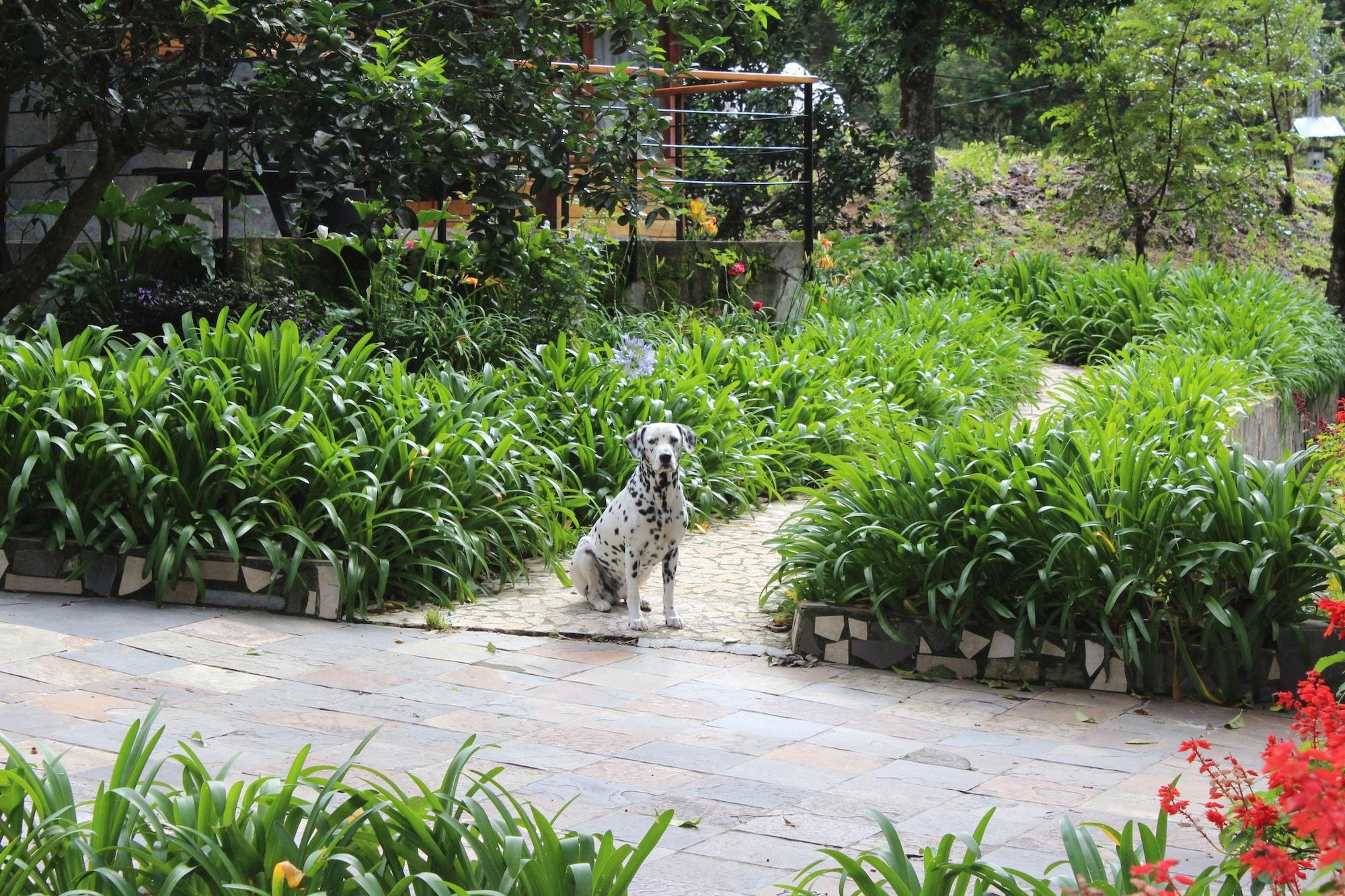 Casa Grande Bambito Resort in Volcan, Panama