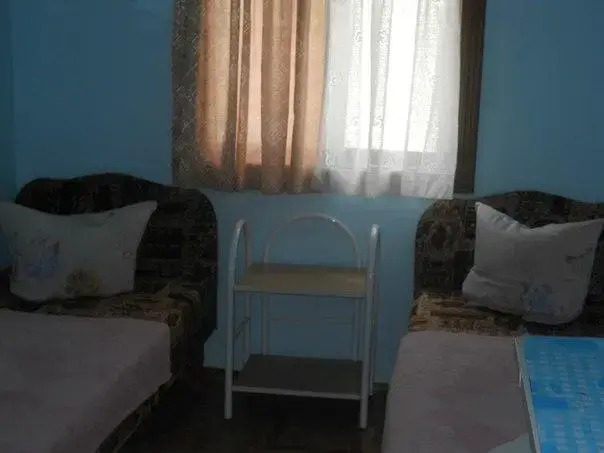 U Lyudmily in Ol'ginka, Russia