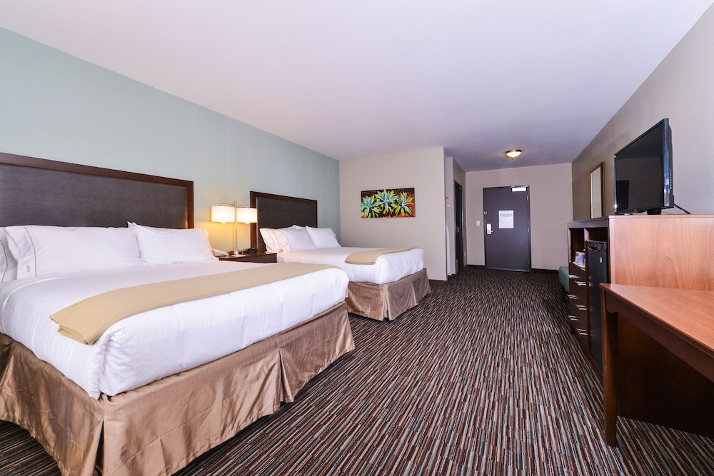 Holiday Inn Express & Suites Indio Coachella Valley by IHG - photo 6
