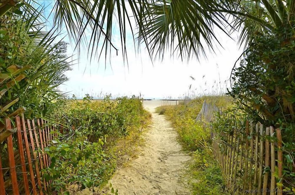 The Gardens at Beachside Colony - photo 77