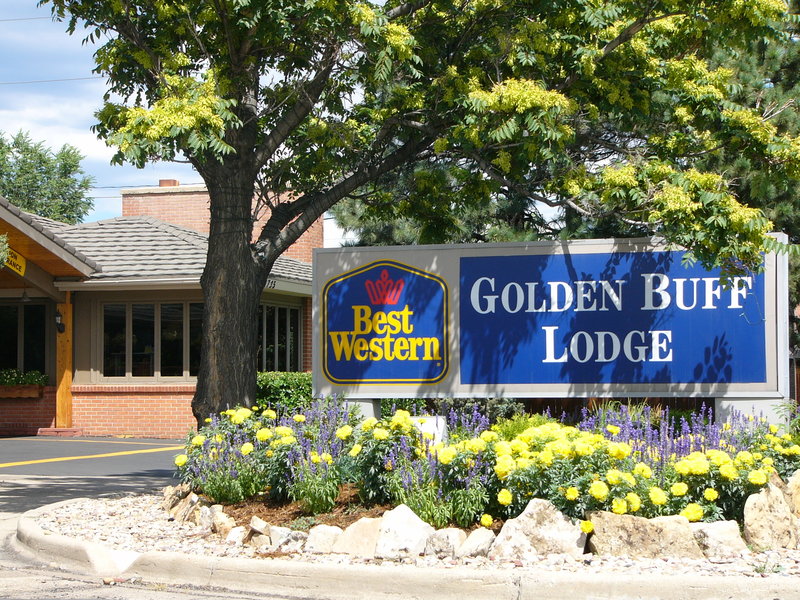 Best Western Golden Buff Lodge - featured photo