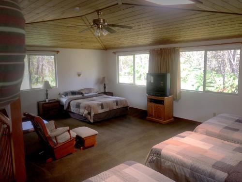 Volcano Inn - photo 27