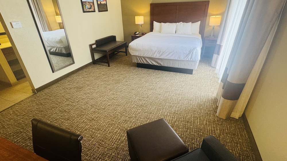 Comfort Inn Salt Lake City Downtown - photo 13