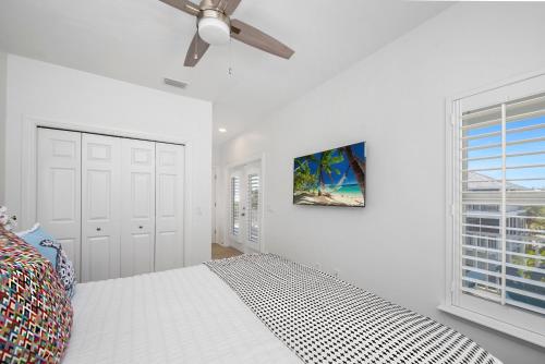 Delmar Dolphin - photo 11