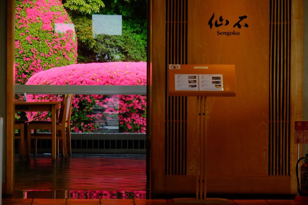 Palace Hotel Hakone — Hakone — photo 5