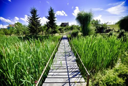 Garden of Eden in Unknown City, Croatia