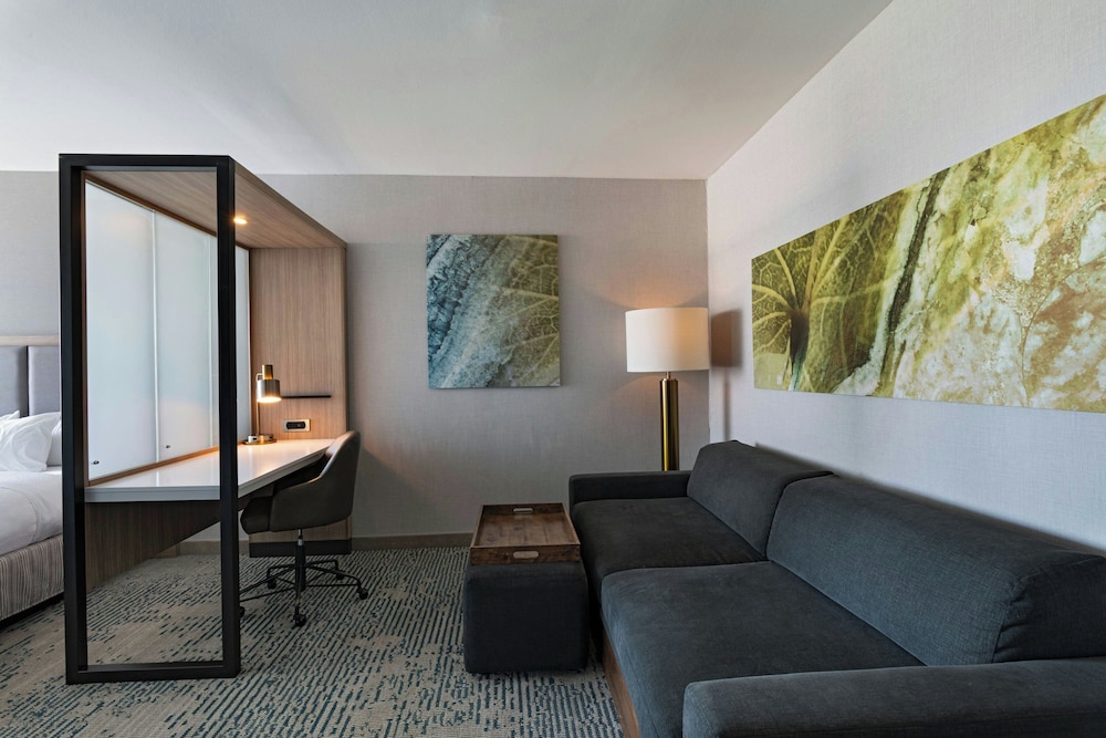 SpringHill Suites by Marriott Austin Cedar Park - photo 11